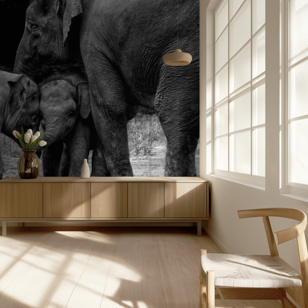 Amis pour toujours | Papier Peint Photo