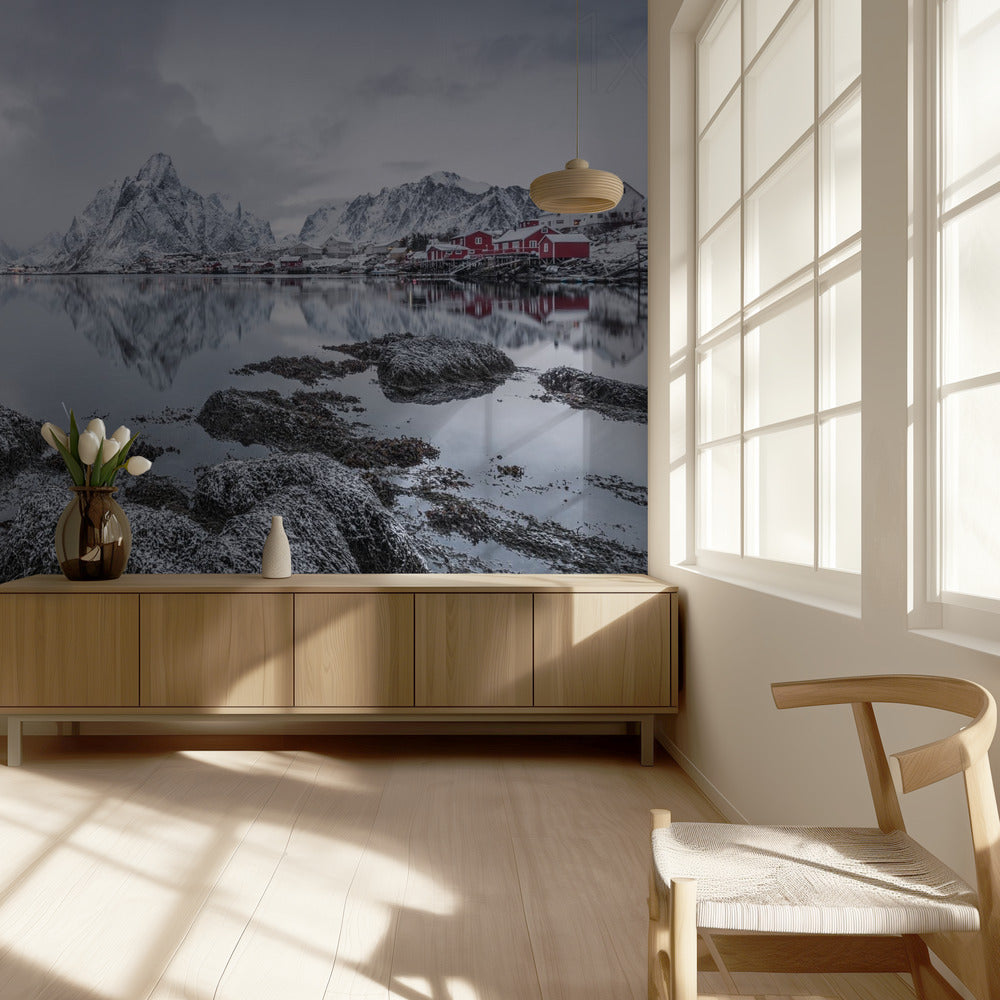 Reine | Tapeter