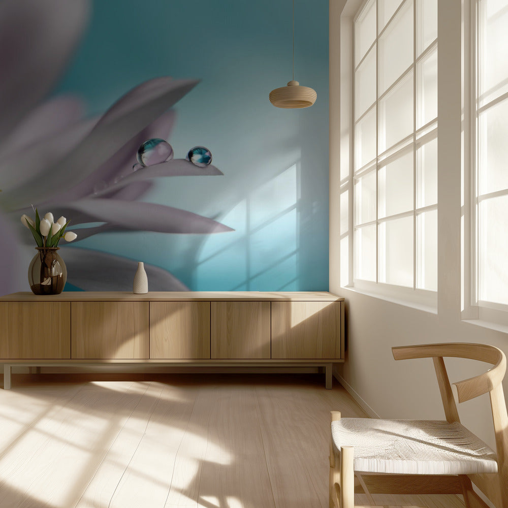 In turquoise Company | Wallpaper