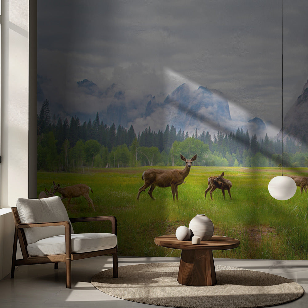 En känsla av forntid | Fototapet