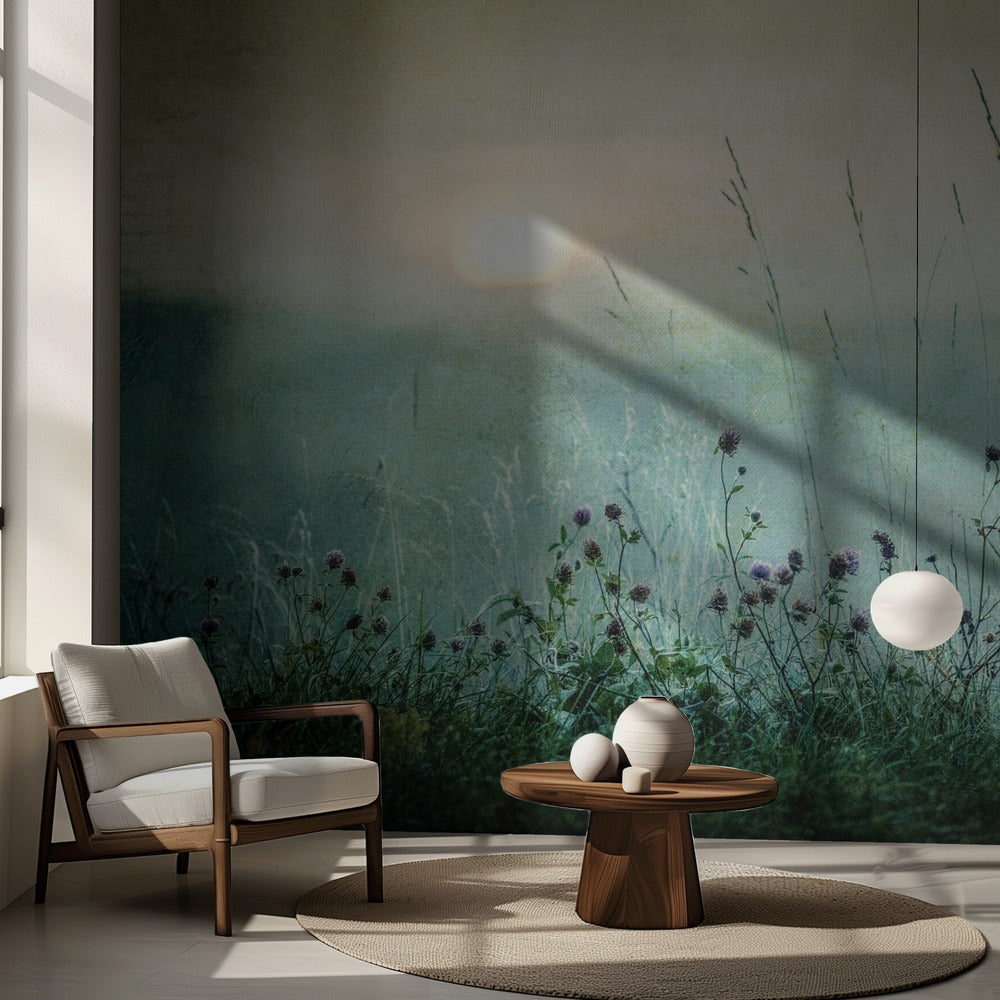 Höstsoluppgång | Fototapet