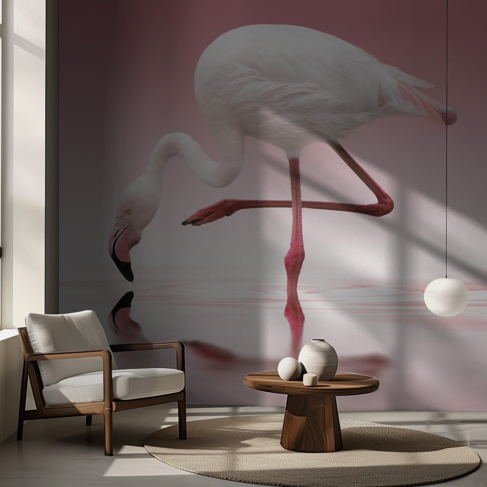 Flamingo | Fototapet