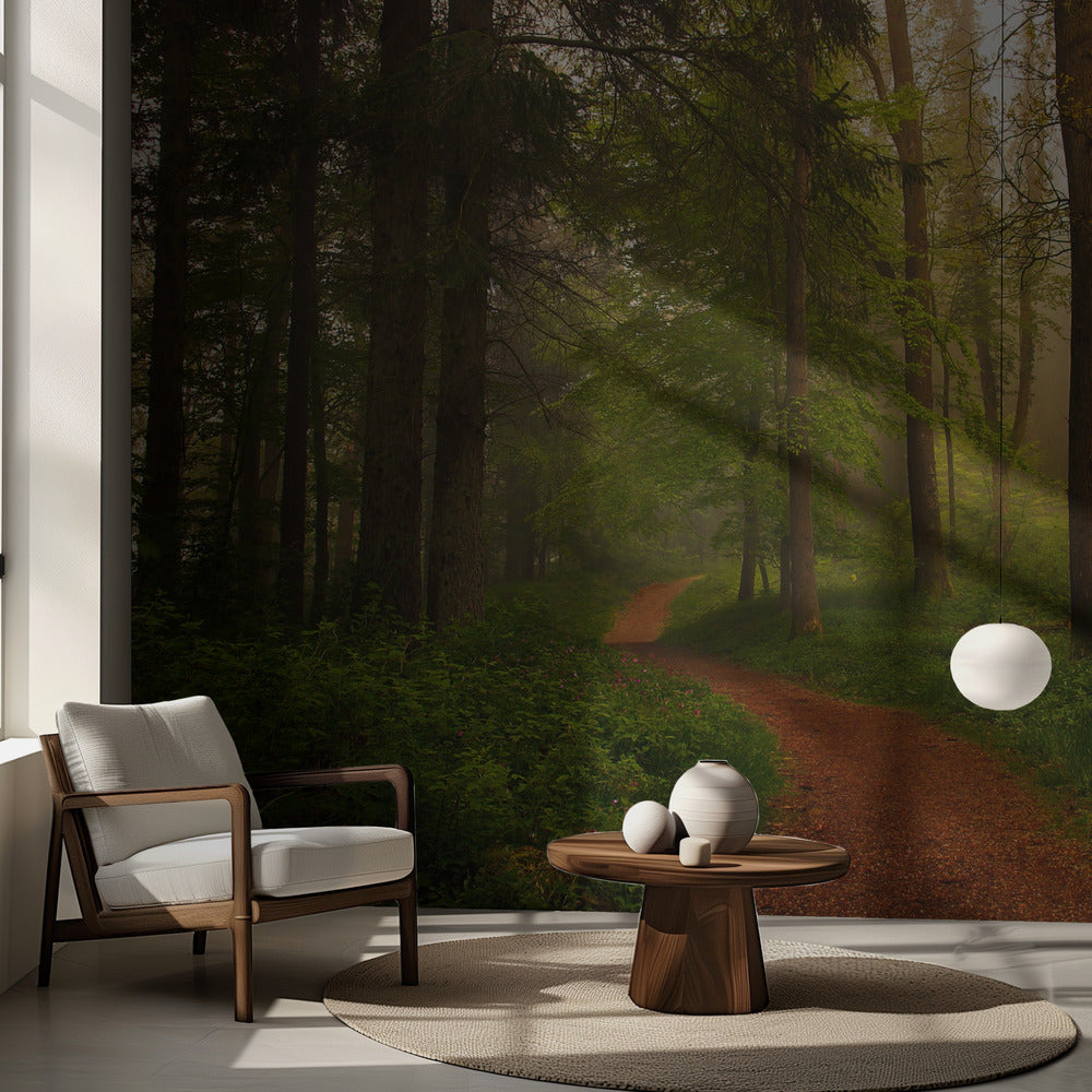 Den röda stigen. | Fototapet