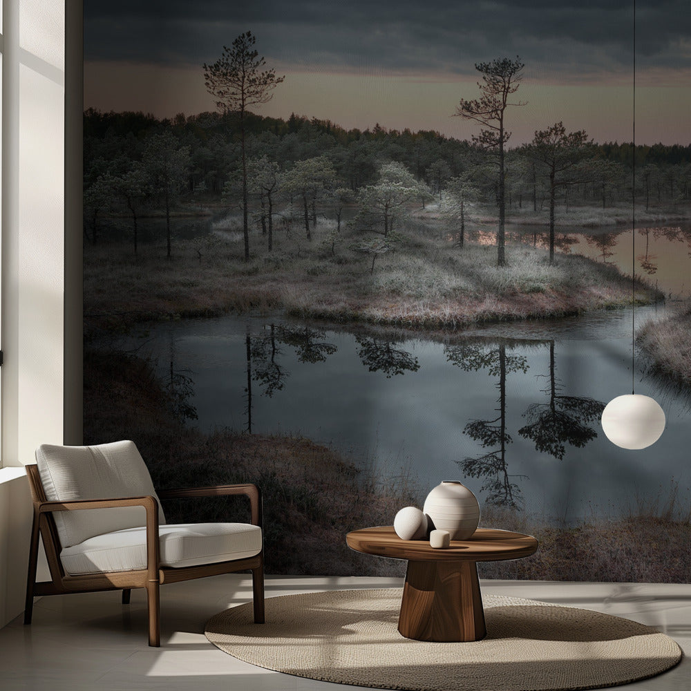 Spilld färg | Fototapet