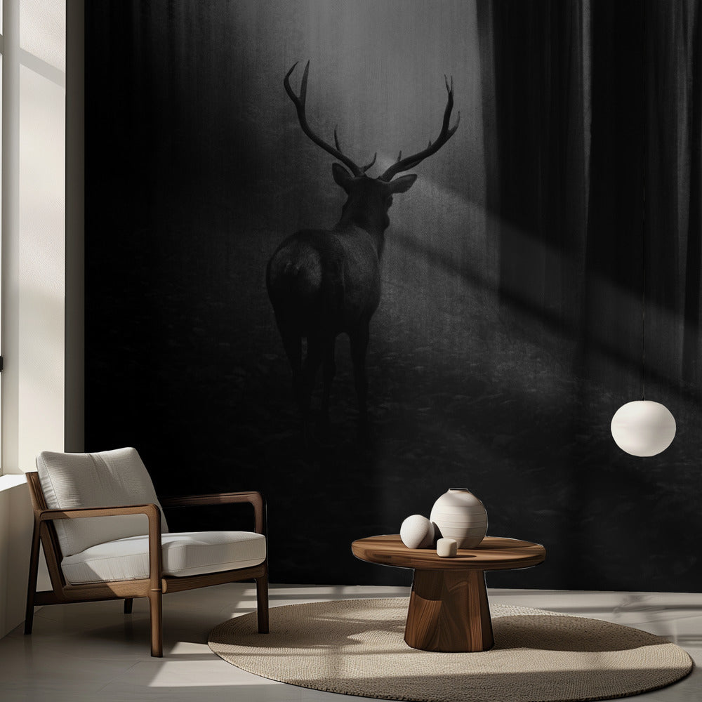 Hjort | Fototapet