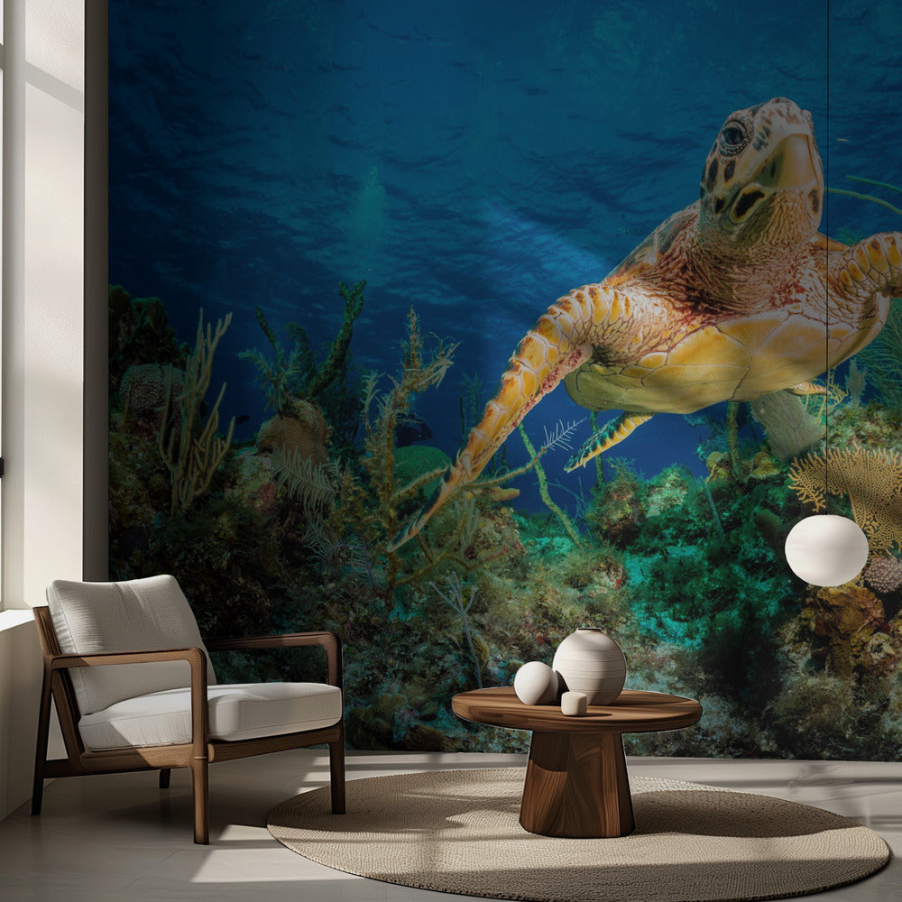 Hjortsköldpadda som simmar genom det karibiska revet | Fototapet