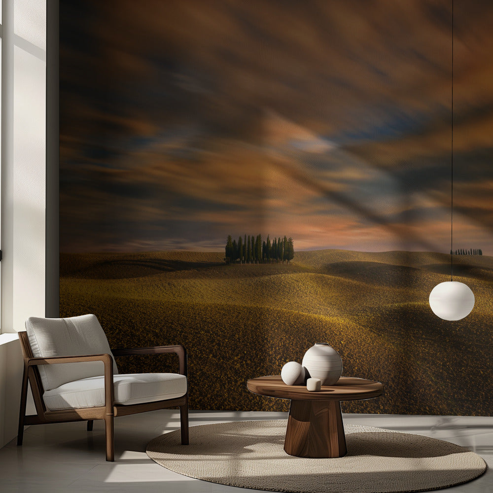 Cypresser... | Fototapet