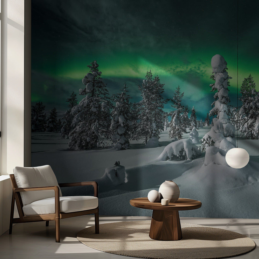 polarnatten | Fototapet