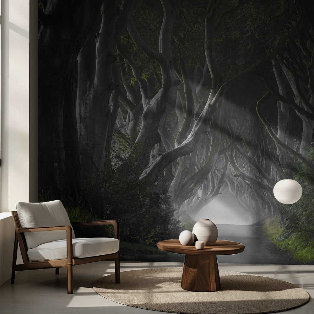 MÖRKA HÄCKAR | Fototapet