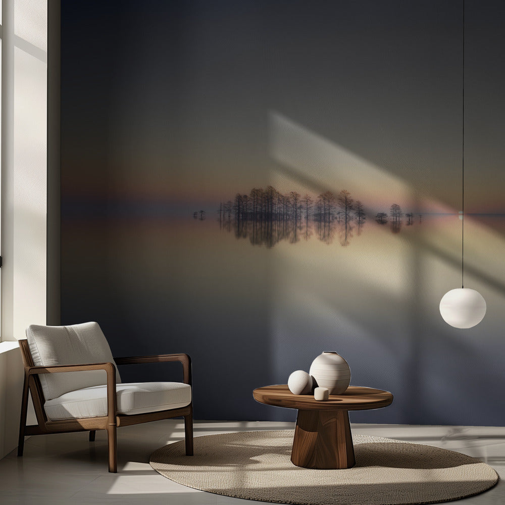 Minne från sjön Mattamuskeet | Fototapet