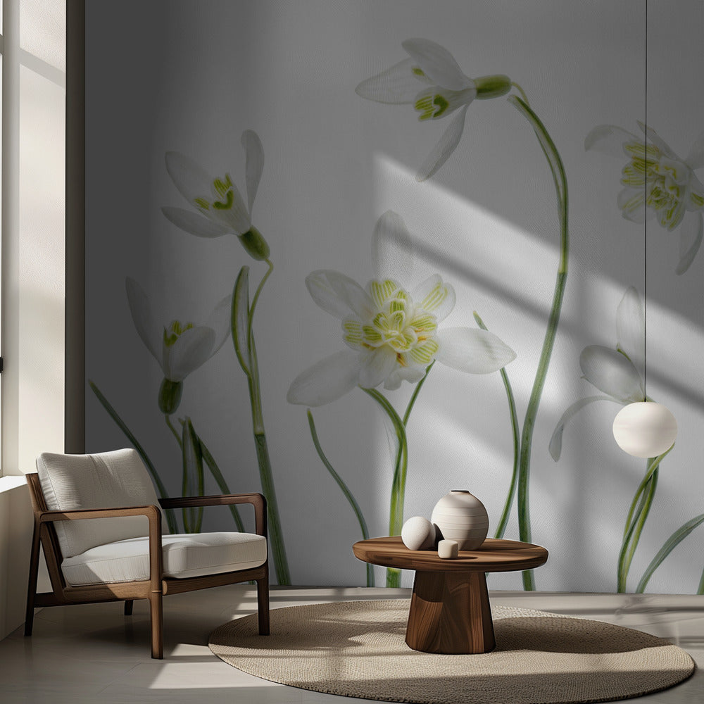 Vårens snödroppar | Fototapet