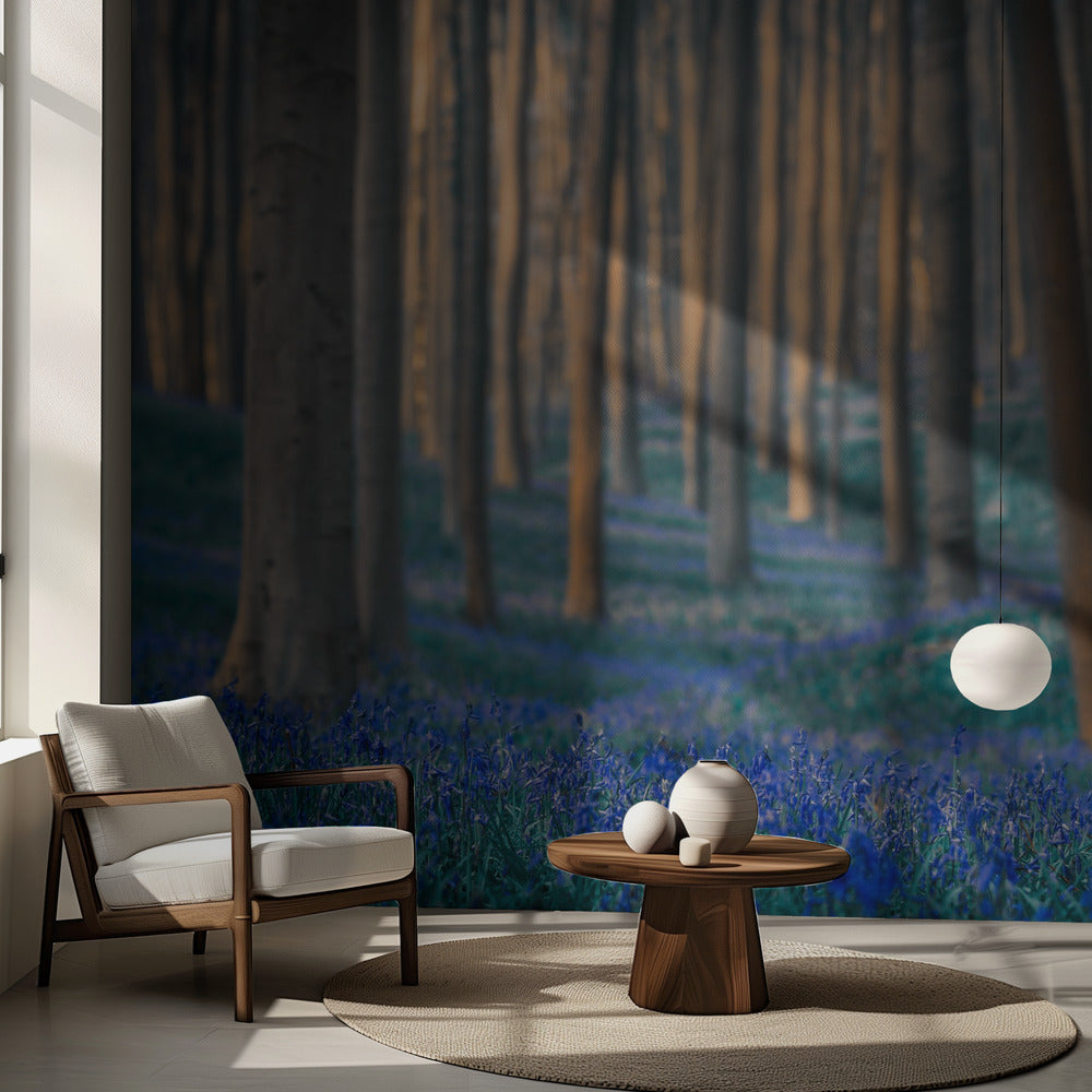 Drömmar är gjorda av dessa | Fototapet