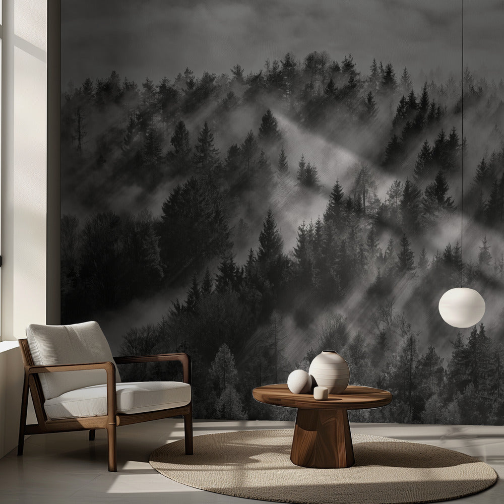 Sundance nr 1 | Tapet