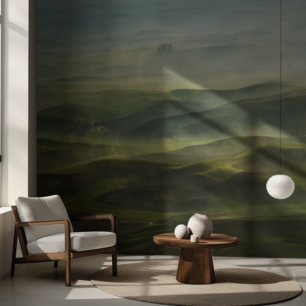 Gyllene morgon-Paluse | Fototapet