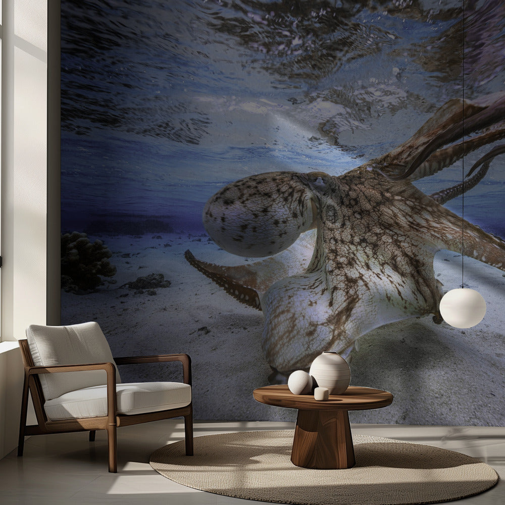 Dansande bläckfisk | Fototapet