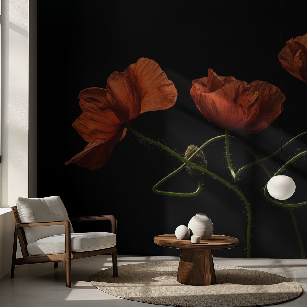 Runt midnatt #2 | Fototapet