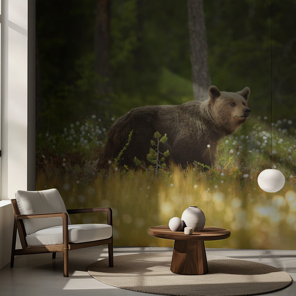 Brunbjörn | Fototapet