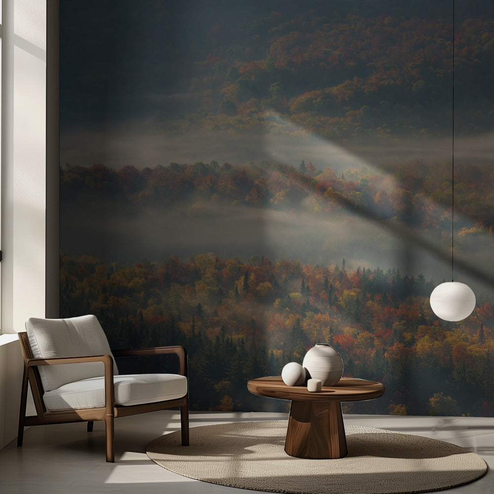 Dimmig morgon | Fototapet