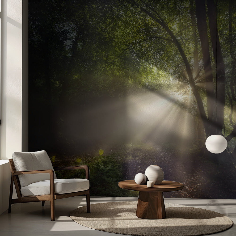 Morgonljuset | Fototapet