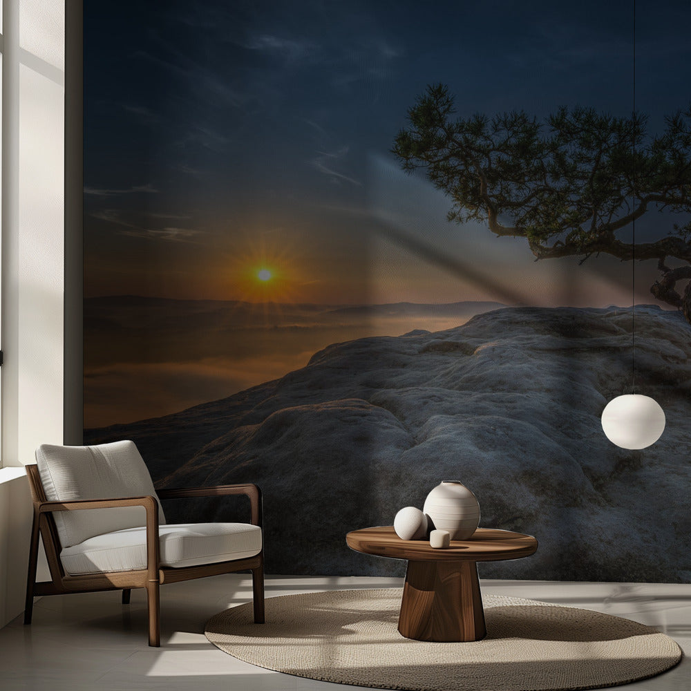 Gammal tall | Fototapet