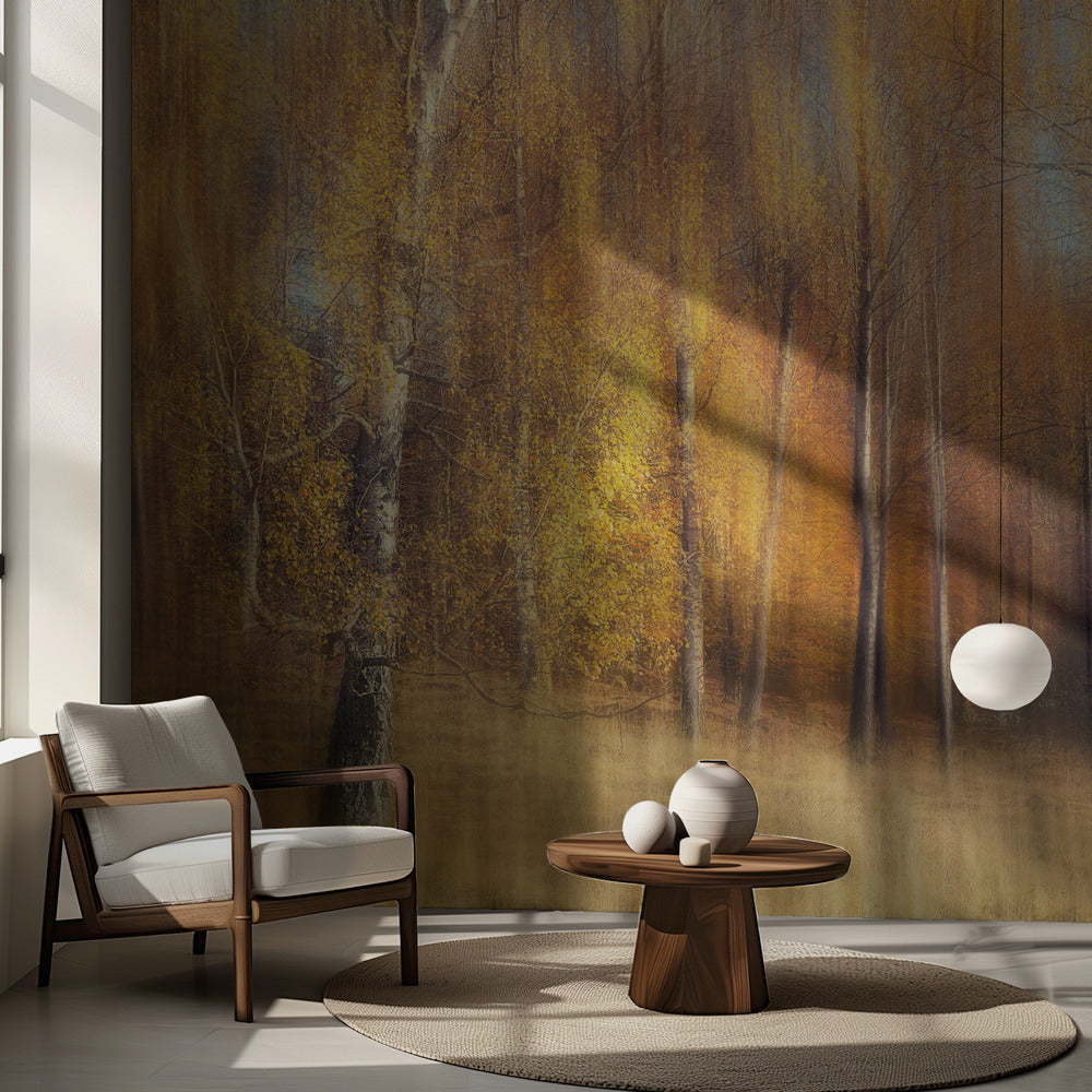 Höstbjörkar | Fototapet