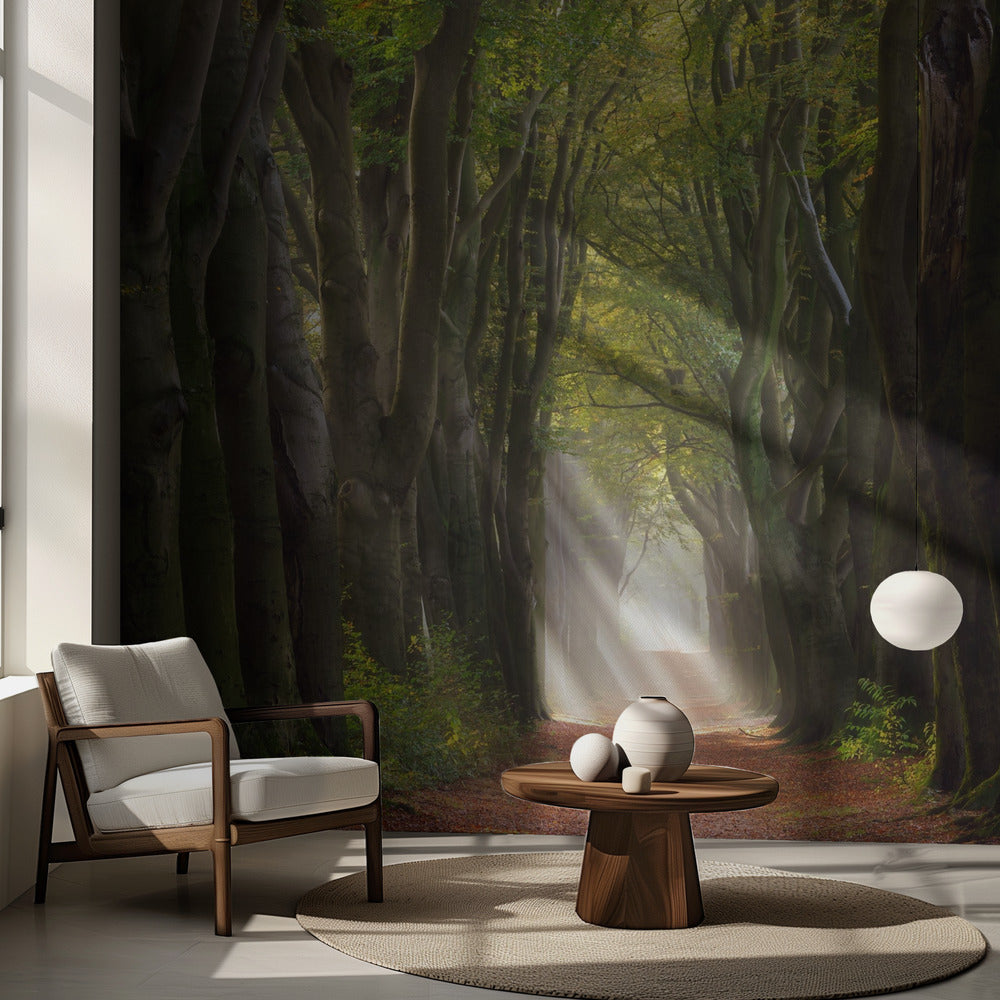 En härlig dag | Fototapet