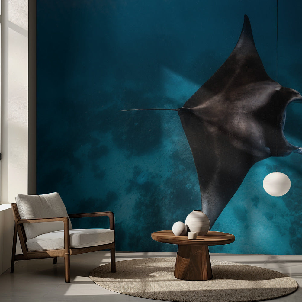 Mantafluga!!! | Fototapet