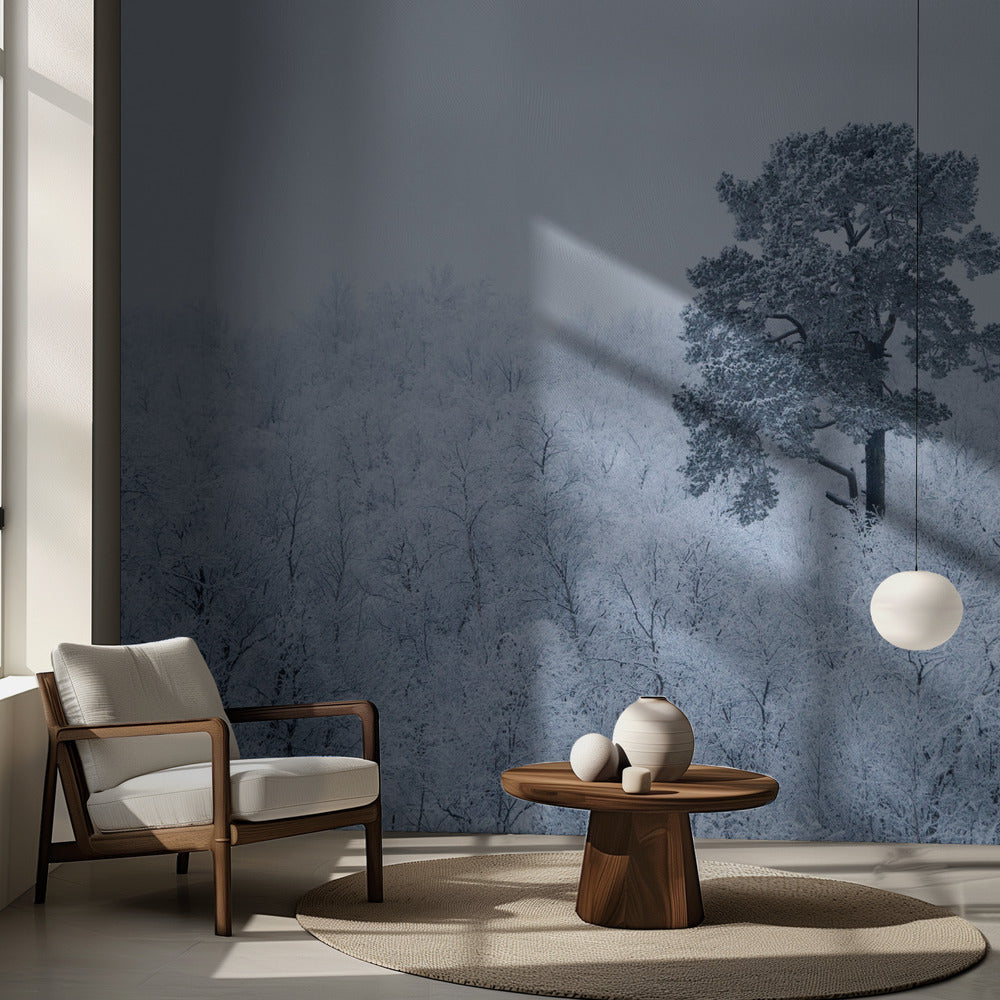 Första snön | Fototapet