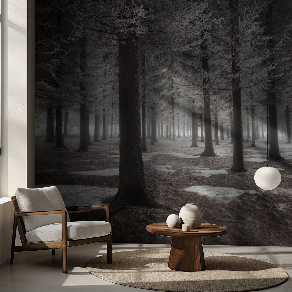 Vinterns början | Fototapet