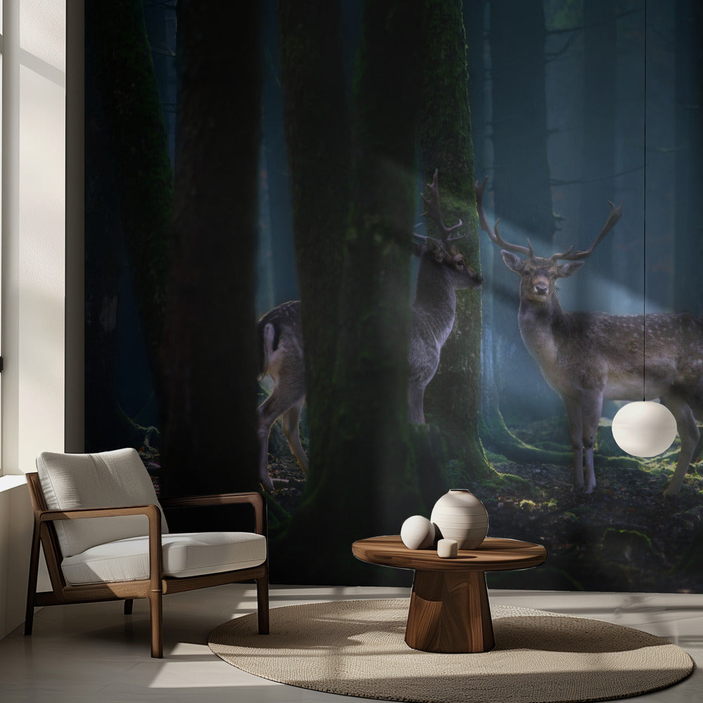 Hjortar | Fototapet