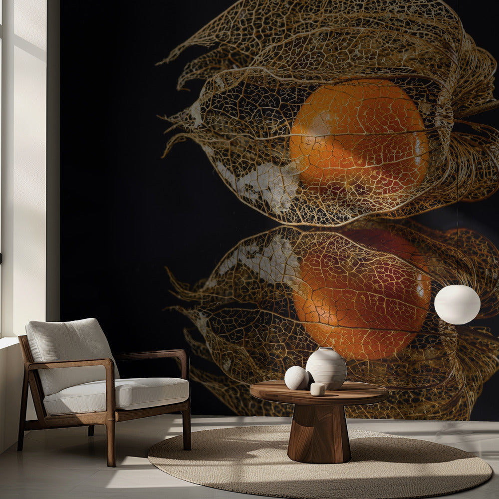 Physalis | Fototapet