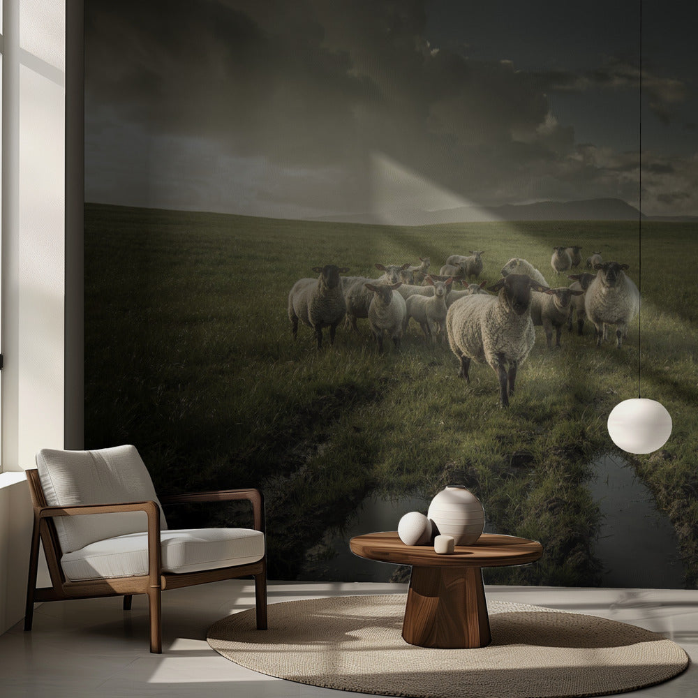 Får | Fototapet