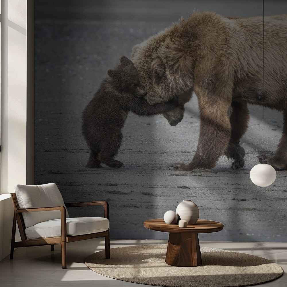 En liten björnkram | Fototapet