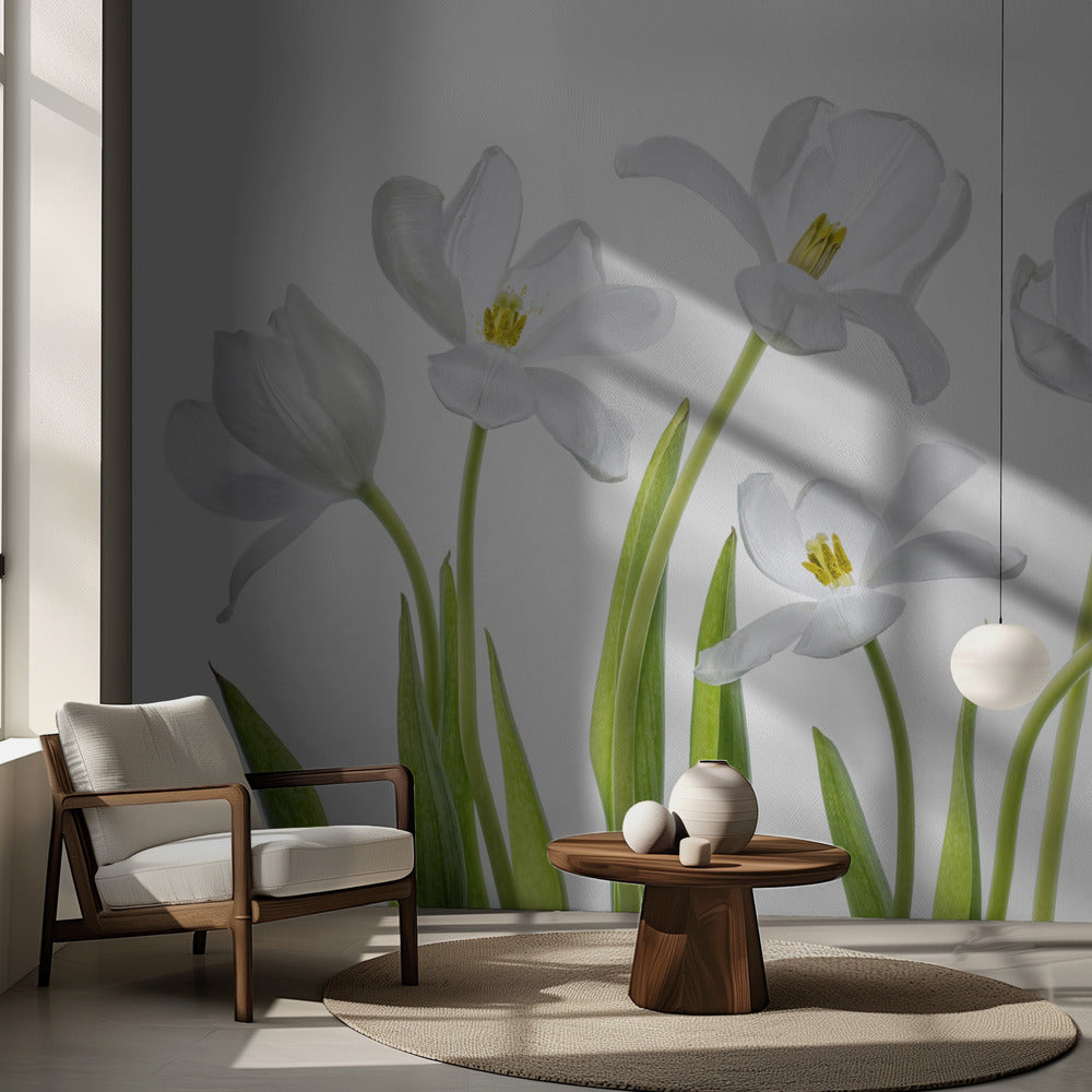 Weiße Tulpen | Fototapeten