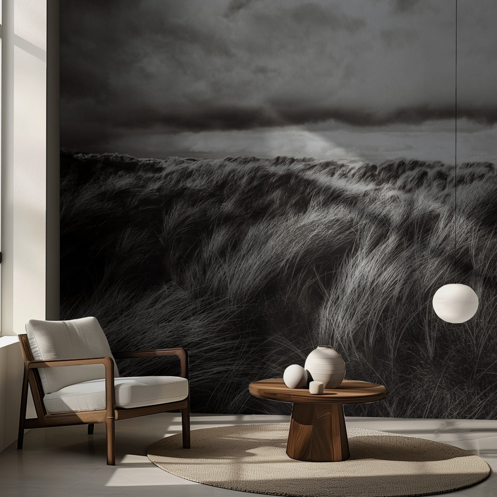 Gräsdyner | Fototapet