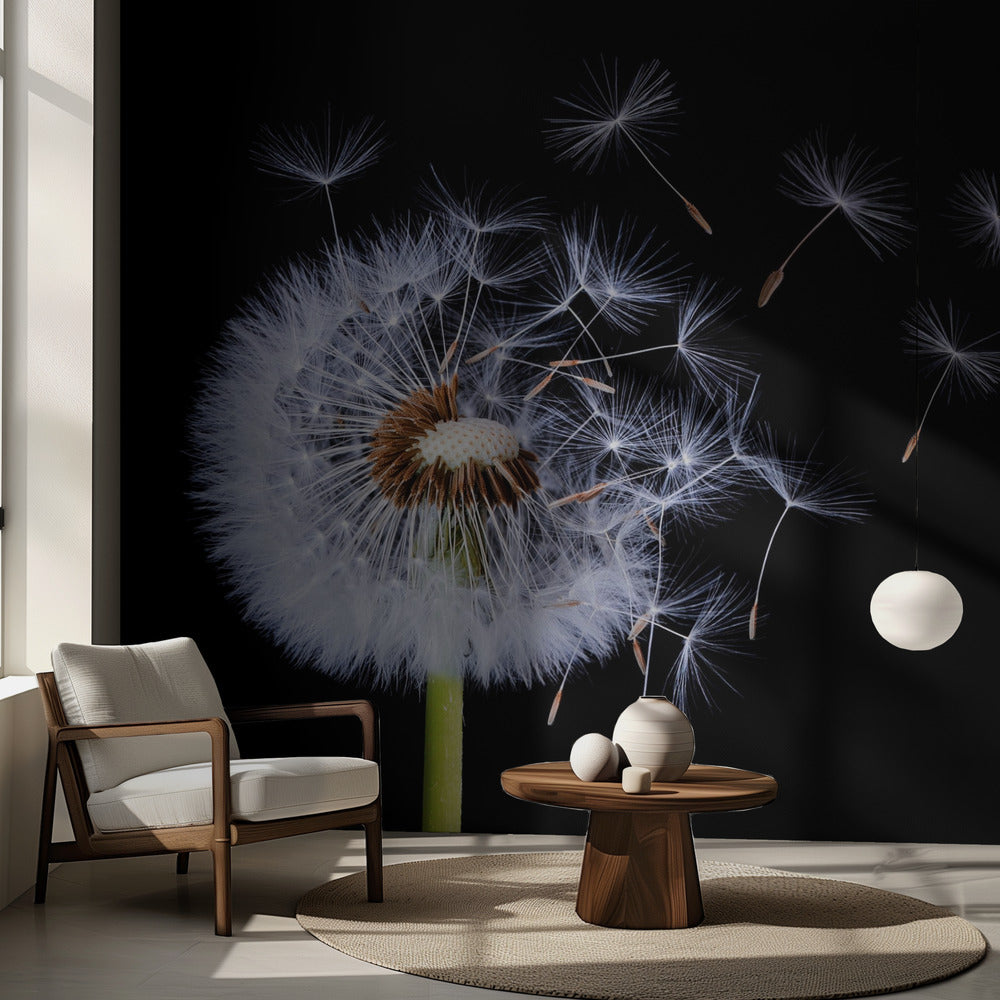 Maskrosblåsning | Fototapet