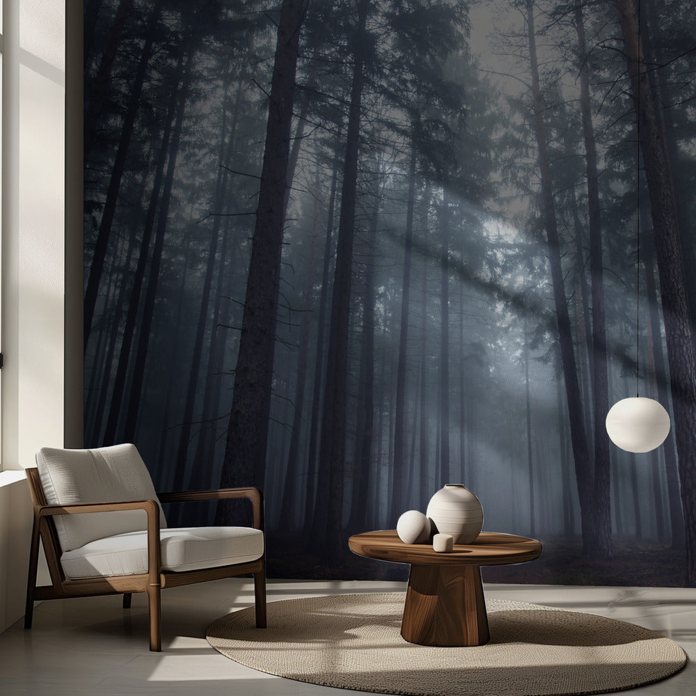 Mystisk dimmig skog. Fototapet