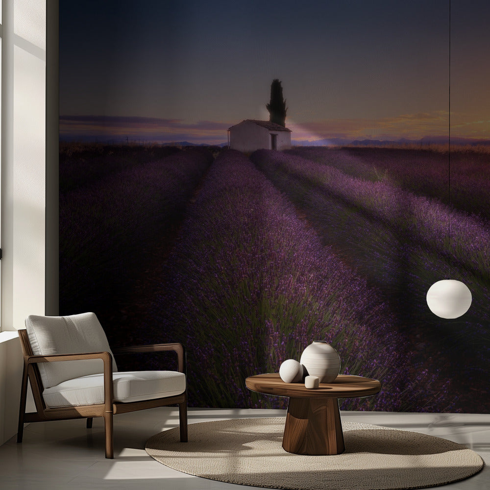 Provence Lavendel | Tapet