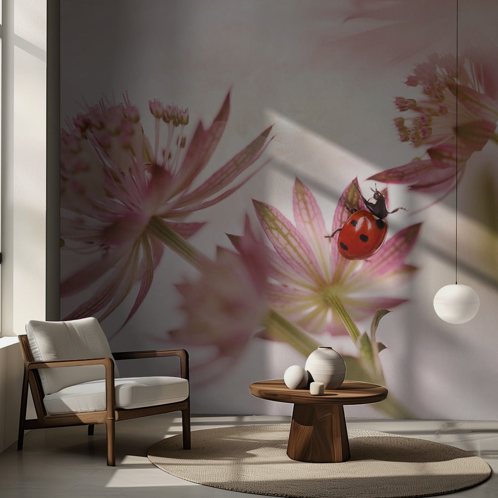 Nyckelpiga och rosa blommor | Fototapet