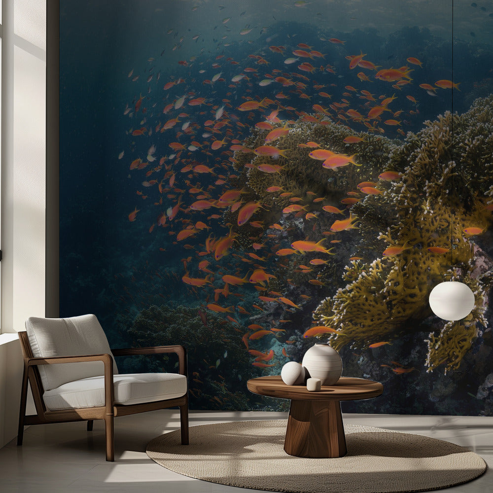 Reefscape | Tapeter