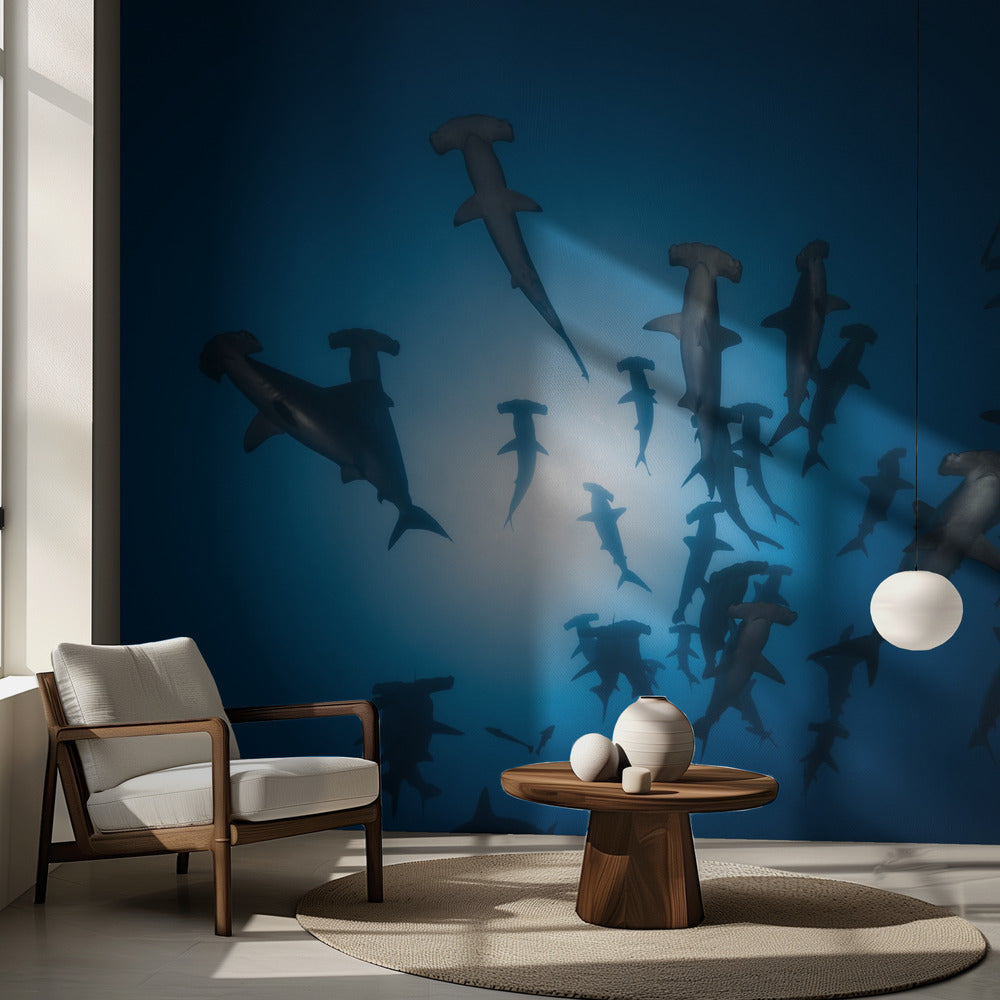 Hammarhaj - Undervattensfotografering | Fototapet