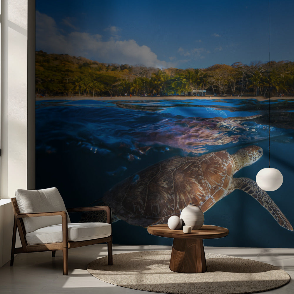 Grön sköldpadda - Havssköldpadda | Fototapet