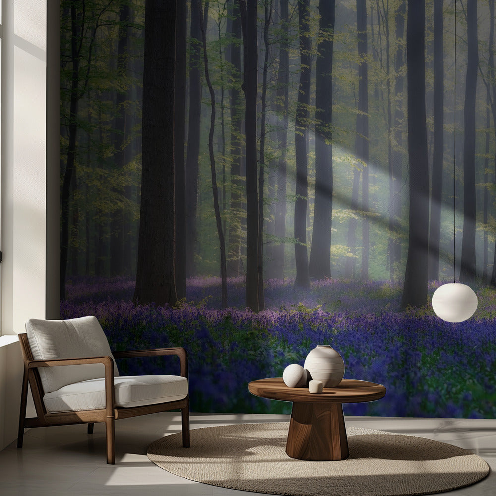 Blåklockor | Fototapet