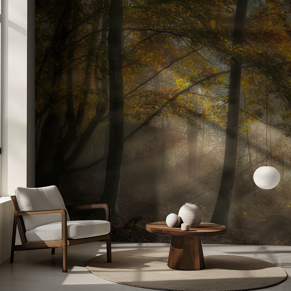 Skogens ljus | Fototapet