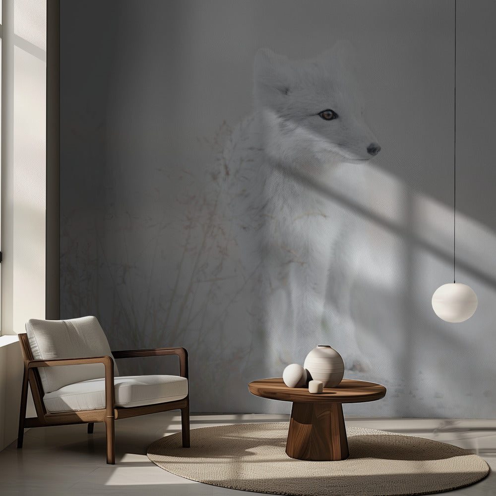 Tittar sig omkring | Fototapet