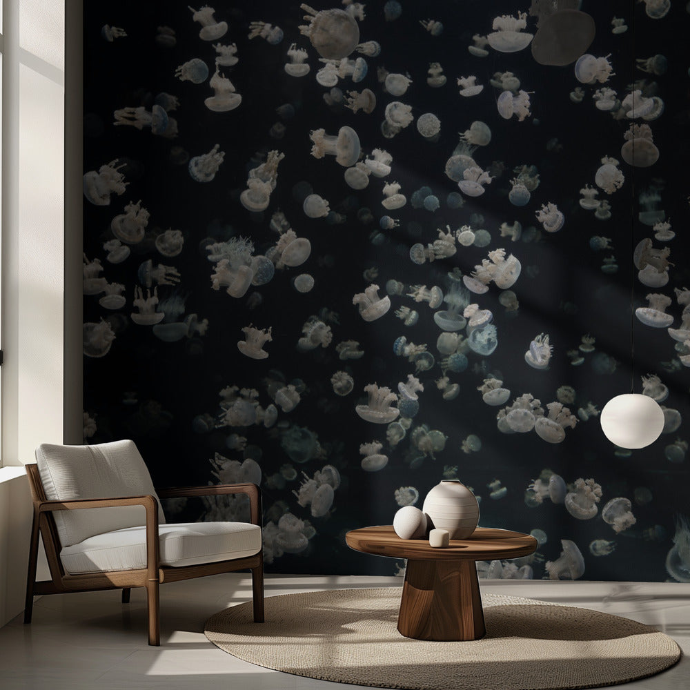 Bara lite gelé | Fototapet