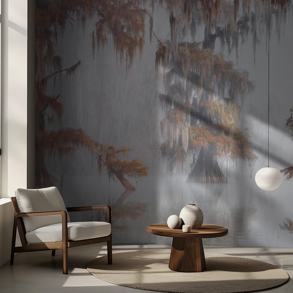 Mysty Bayou | Fototapet