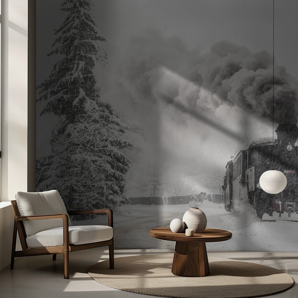 Vinterberättelse | Fototapet