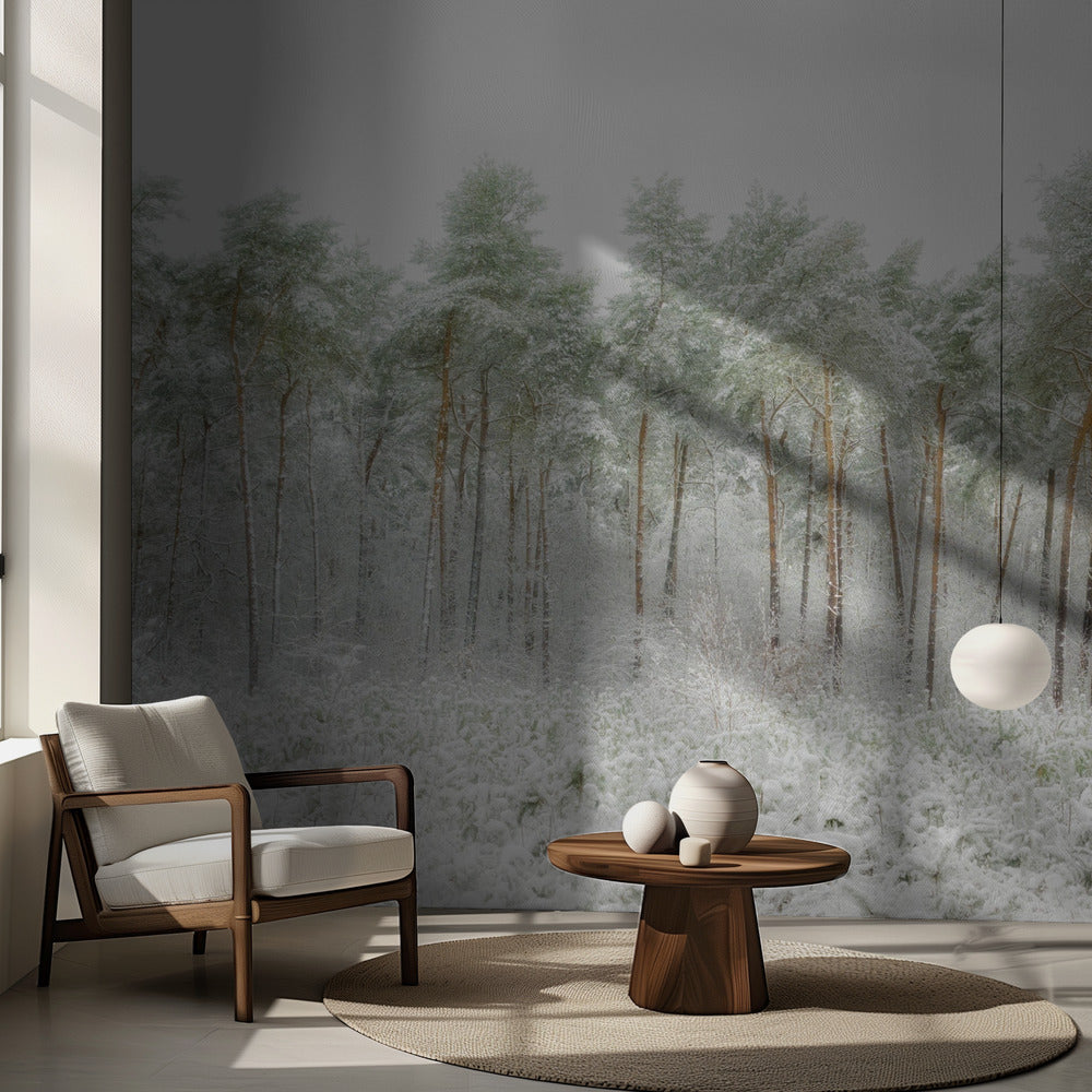 Snövärlden | Fototapet