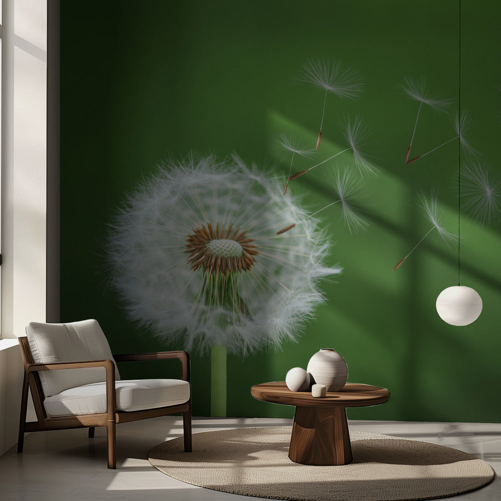 Maskrosblåsning | Fototapet